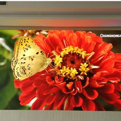 Piccolo passo 2mm del pixel di colore pieno di LED dell'installazione facile dell'interno dell'esposizione per le fiere commerciali