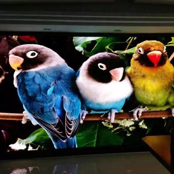Video tabelloni per le affissioni principali ultra sottili P1.667 P1.25 Rgb dell'interno di video di parete colore pieno dell'esposizione